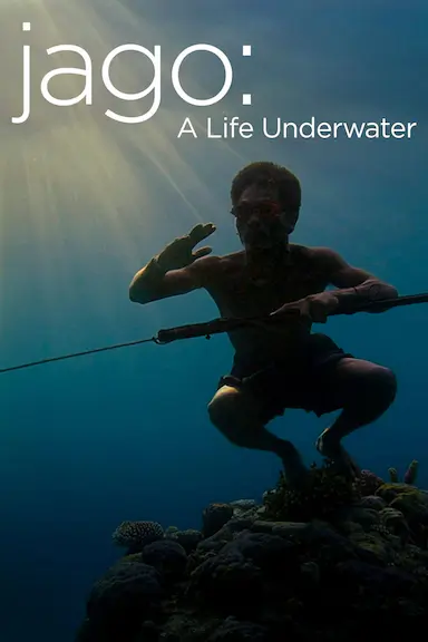 水下人生封面图