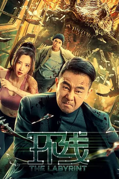 环线封面图