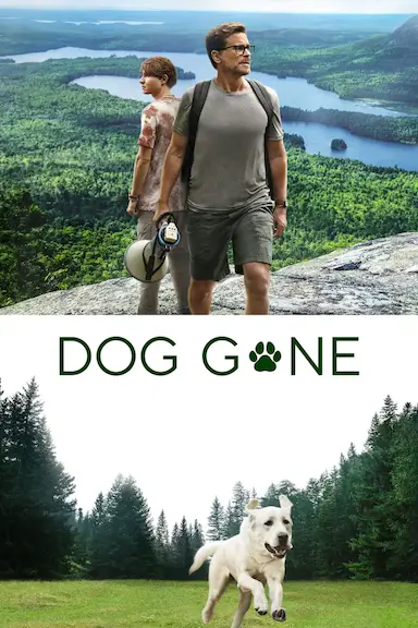迷途之犬封面图