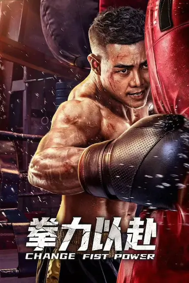 拳力以赴封面图