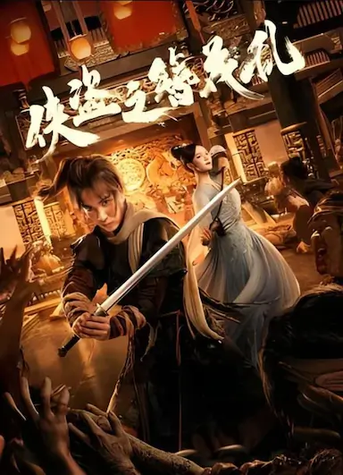 侠盗之簪花乱封面图