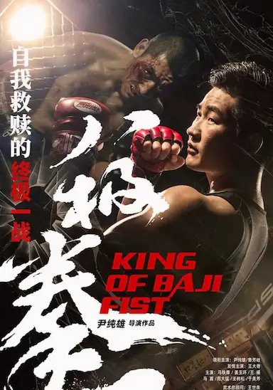 八极拳王封面图