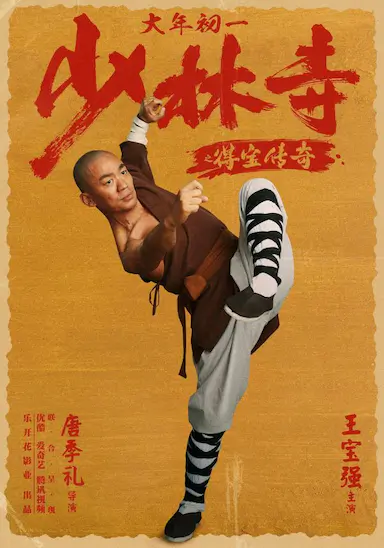 少林寺之得宝传奇封面图