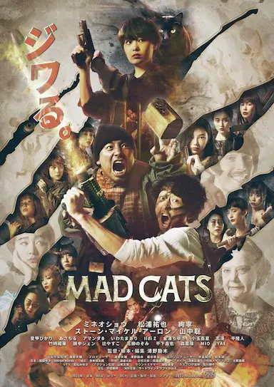 猫无赦封面图