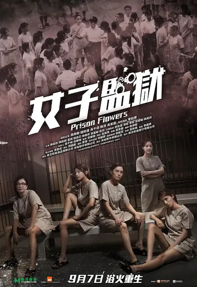 女囚风暴1995封面图