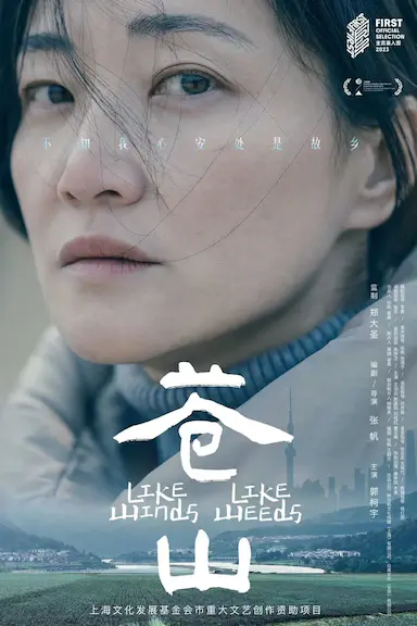 苍山封面图