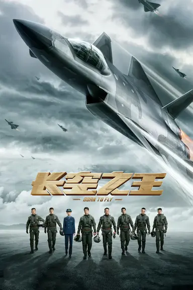 长空之王封面图