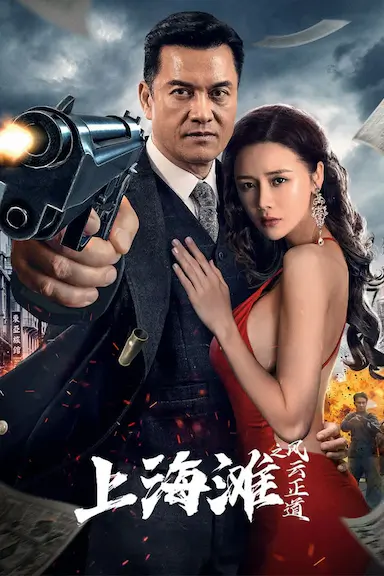 上海滩之风云正道封面图