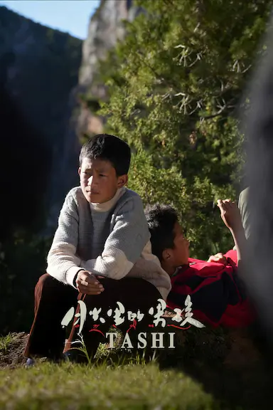 月光里的男孩封面图