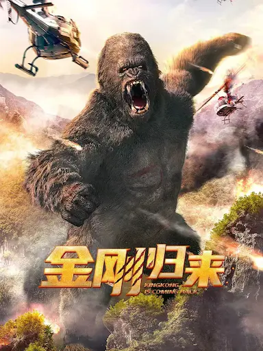 金刚归来封面图