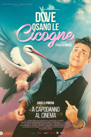 Dove osano le cicogne封面图