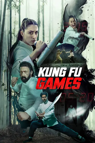 功夫游戏封面图