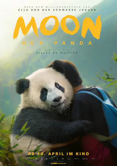 熊猫月亮封面图
