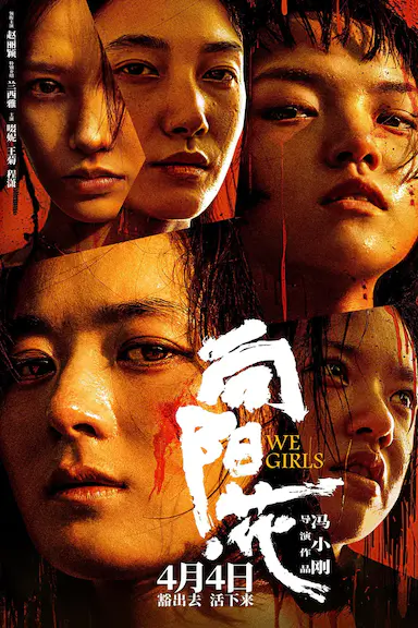 向阳·花封面图