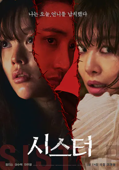 姐妹封面图
