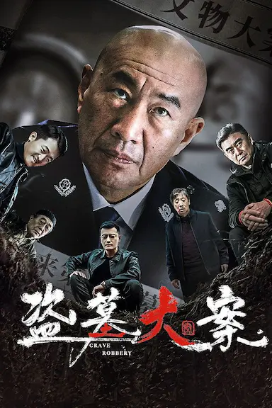 盗墓大案封面图