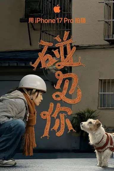 碰见你封面图