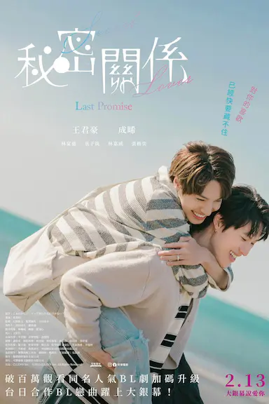 秘密关系：最后的约束封面图