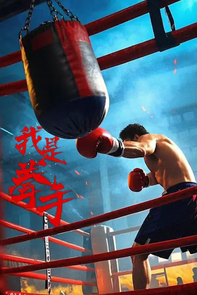 我是拳手封面图