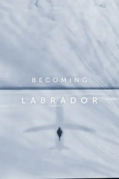 Becoming Labrador封面图