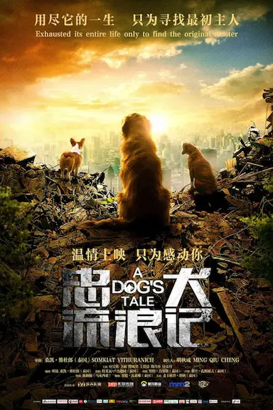 忠犬流浪记封面图