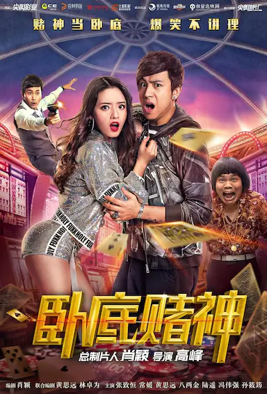 卧底赌神封面图