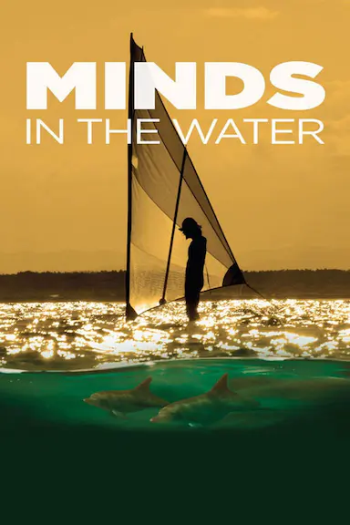 Minds in the Water封面图