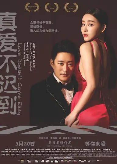 真爱不迟到封面图