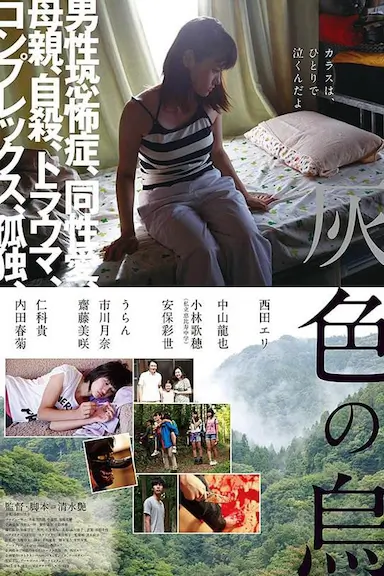 灰色乌鸦封面图