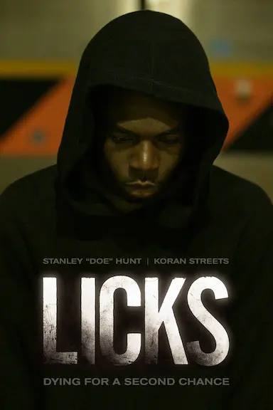 Licks封面图