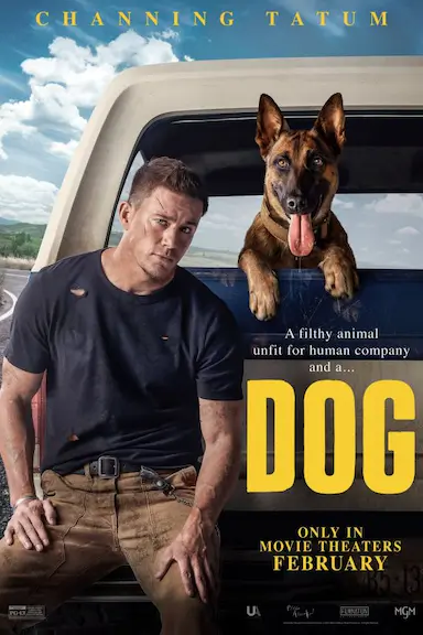 忠犬封面图