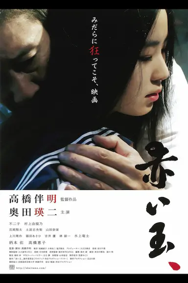 血珠封面图