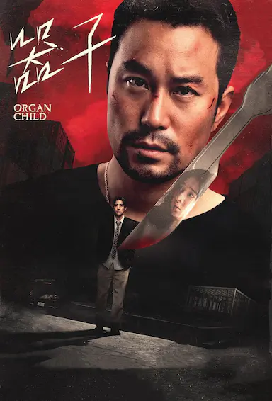 器子封面图