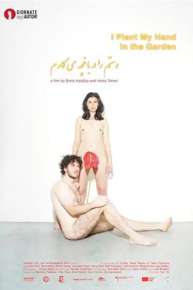 植手于园封面图
