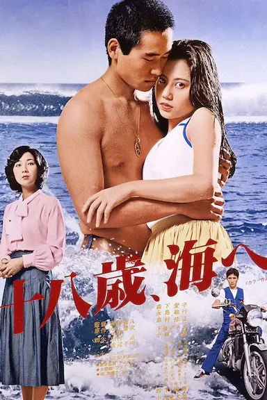 十八岁的海封面图