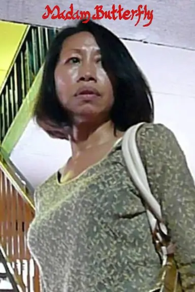 蝴蝶夫人封面图