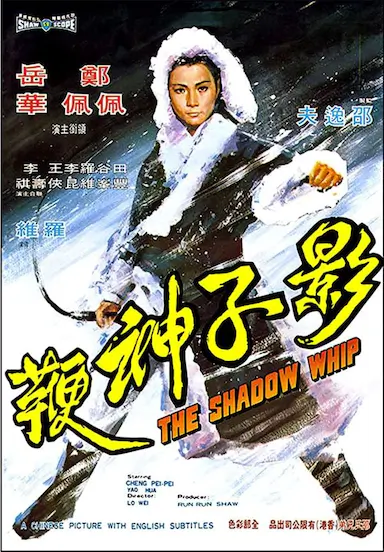 影子神鞭封面图