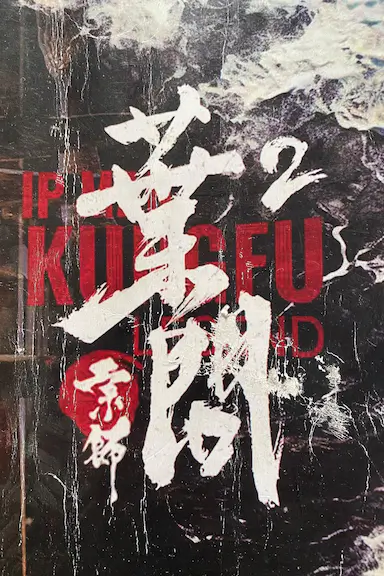 宗师叶问封面图