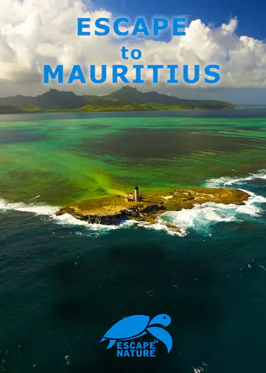 Escape to Mauritius封面图