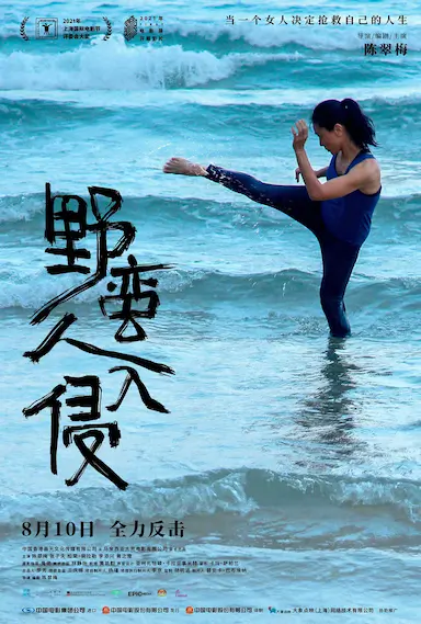 野蛮人入侵封面图