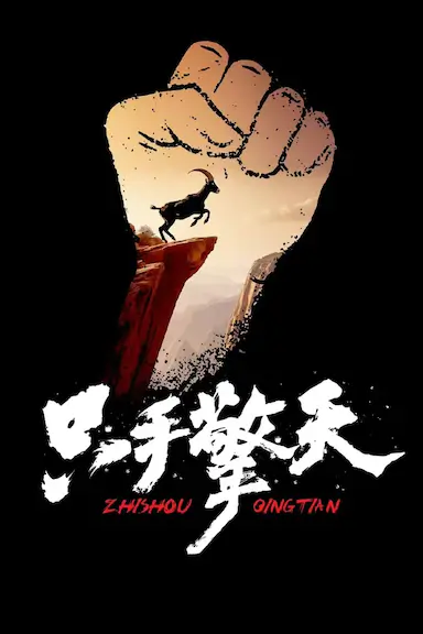 只手擎天封面图