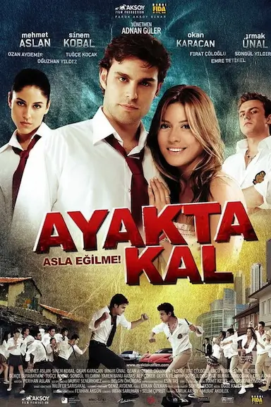 Ayakta kal (2009)封面图