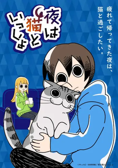 关于养猫我一直是新手封面图