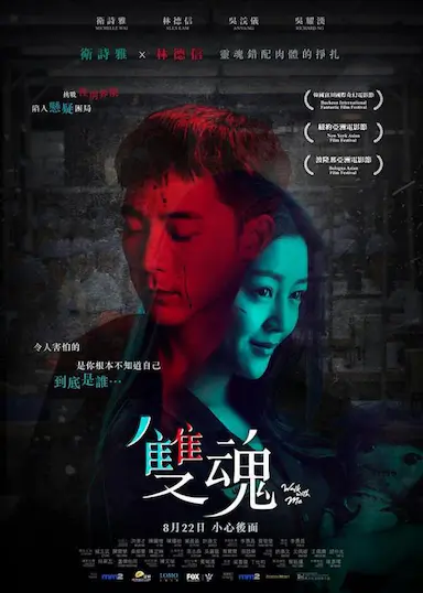 双魂封面图