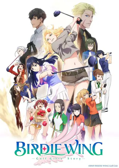 小鸟之翼封面图