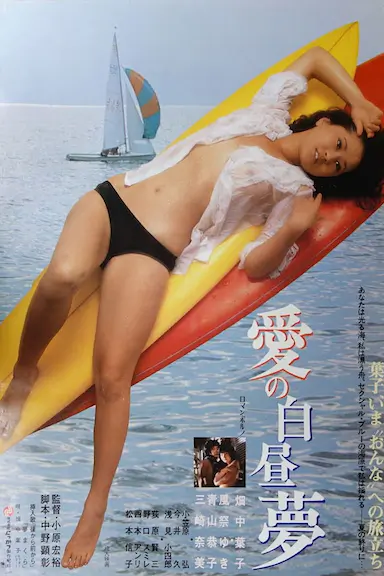 爱的白日梦封面图