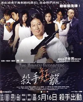 杀手狂龙封面图