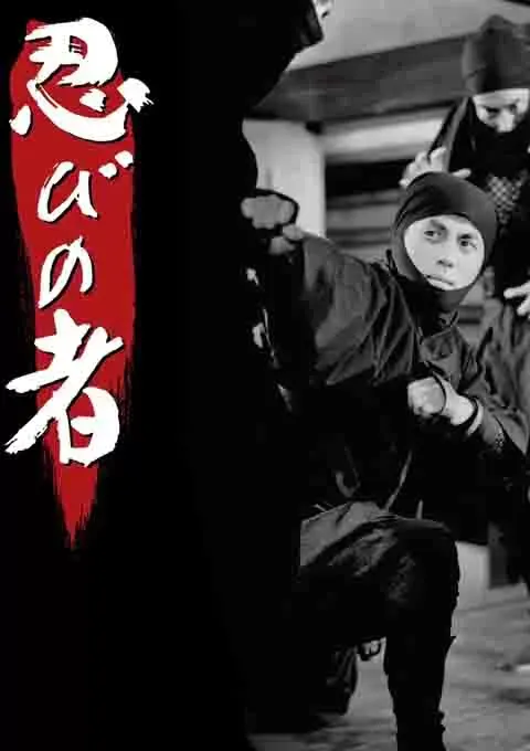 忍者封面图