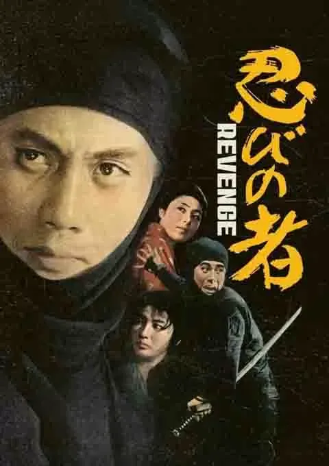 忍者续集封面图