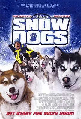 雪地狂奔封面图